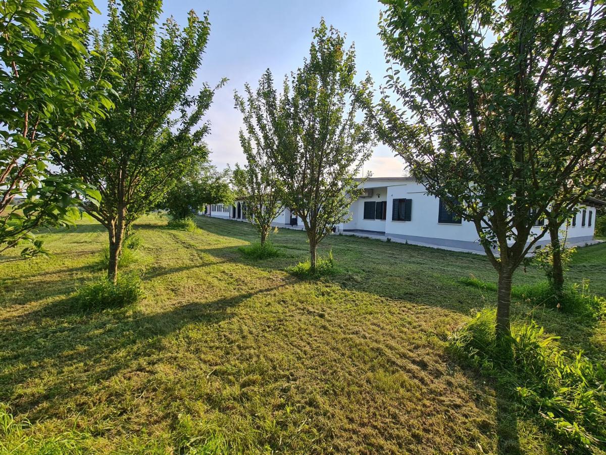Agriturismo Ca Novak Venezia مخرج سبينيا المظهر الخارجي الصورة