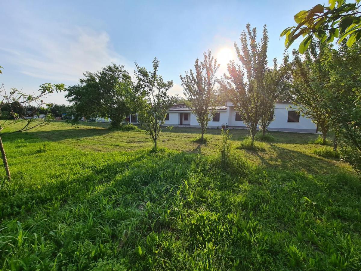 Agriturismo Ca Novak Venezia مخرج سبينيا المظهر الخارجي الصورة